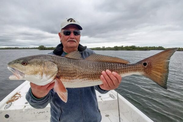 a fisherman with a redfish