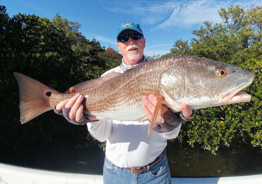 a picture of a fisherman holding a redfish caught in the backcountry of Crystal river.