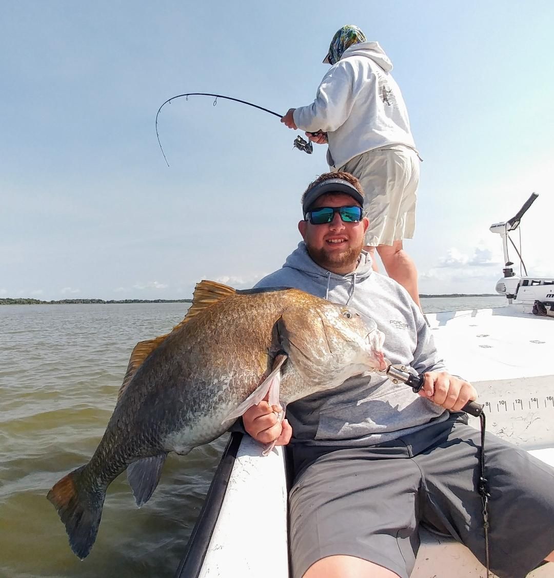 a picture of a blackdrum caught in Crystal river