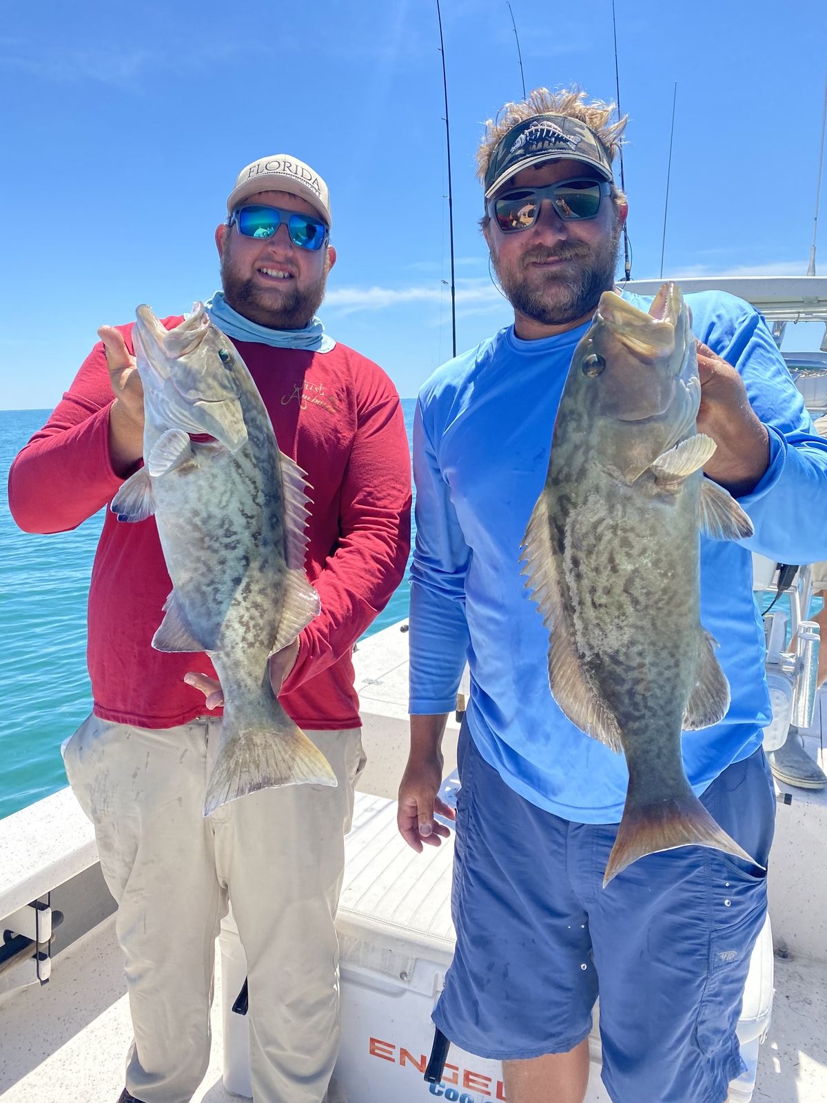 Grouper, Gag - South Atlantic Fishery Management Council