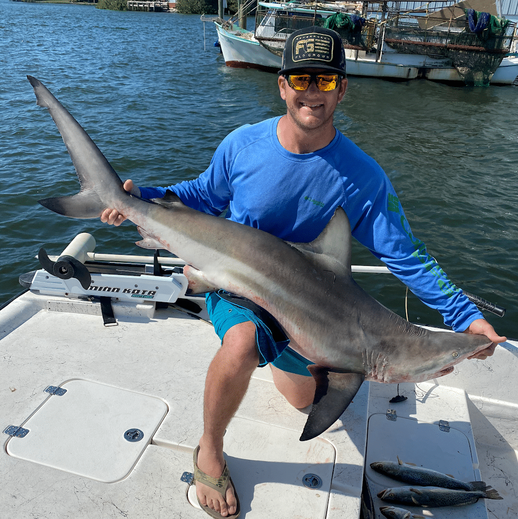 a fisherman holding a shark he caught in Crystal River, Florida