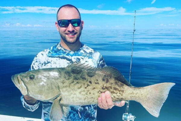 A picture of Crystal River Florida Fishing Adventures Grouper And Snapper Fishing In Crystal River