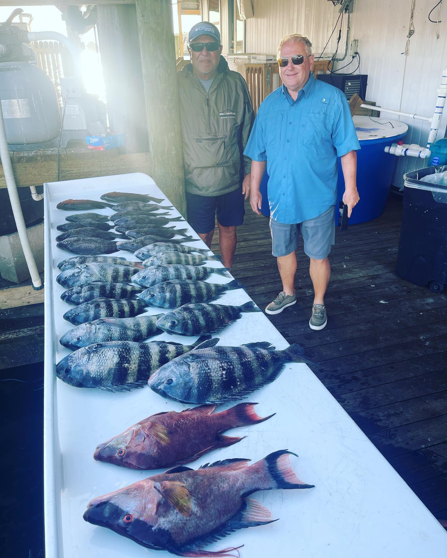 Can You Eat Sheepshead and How Does it Taste?