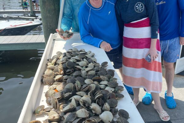 Scalloping Season in Crystal River Is in Full Swing A picture of Crystal River Florida Fishing Adventures Scalloping Season in Crystal River Is in Full Swing