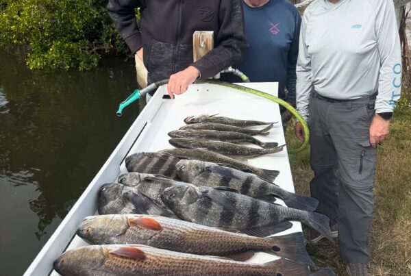 A picture of Crystal River Florida Fishing Adventures What's Biting in Crystal River in January?