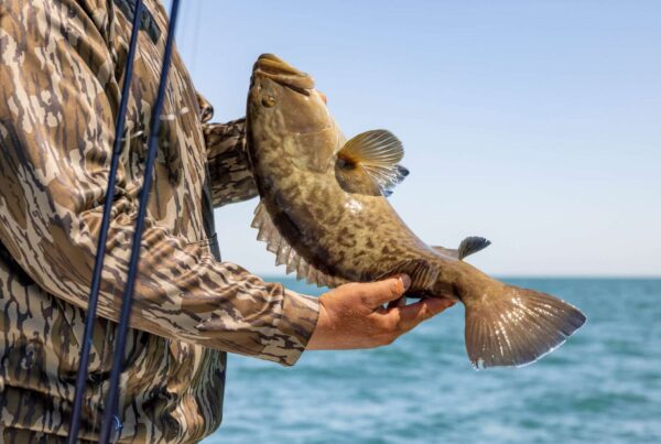 A picture of Crystal River Florida Fishing Adventures Summer Scalloping & Shallow Water Gag Grouper Season Prep in Crystal River