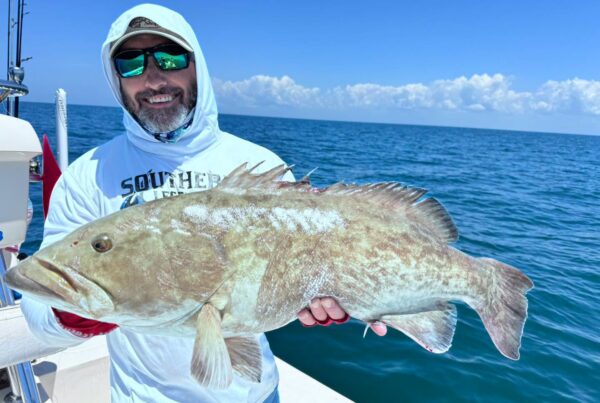 A picture of Crystal River Florida Fishing Adventures September Fishing in Crystal River: Gag Grouper Season