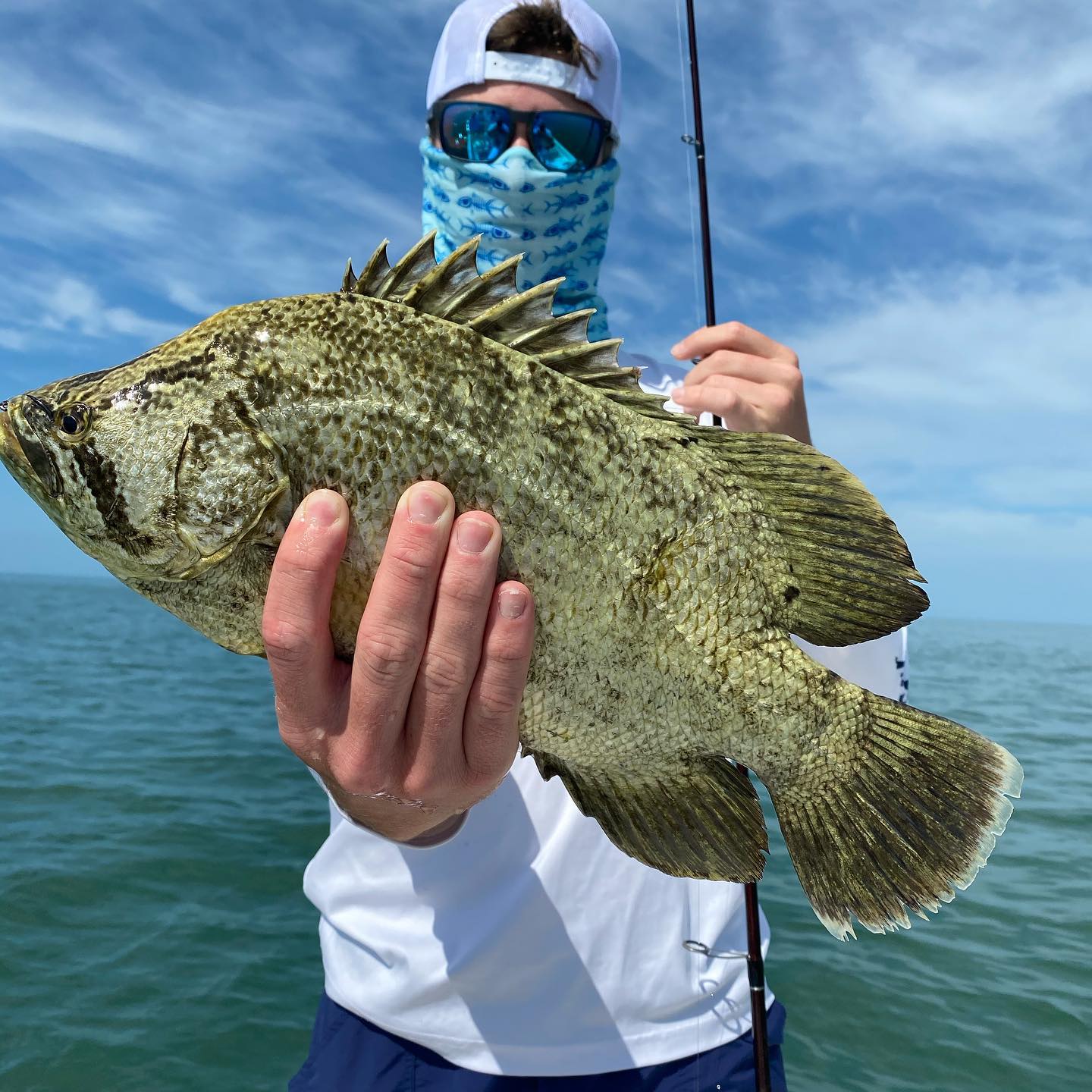 Crystal River Inshore Slams [Including The Grand Slam]