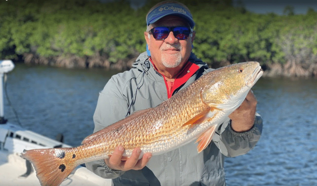 A picture of a gentleman holding a redfish he caught on an inshore crystal river fishing charter