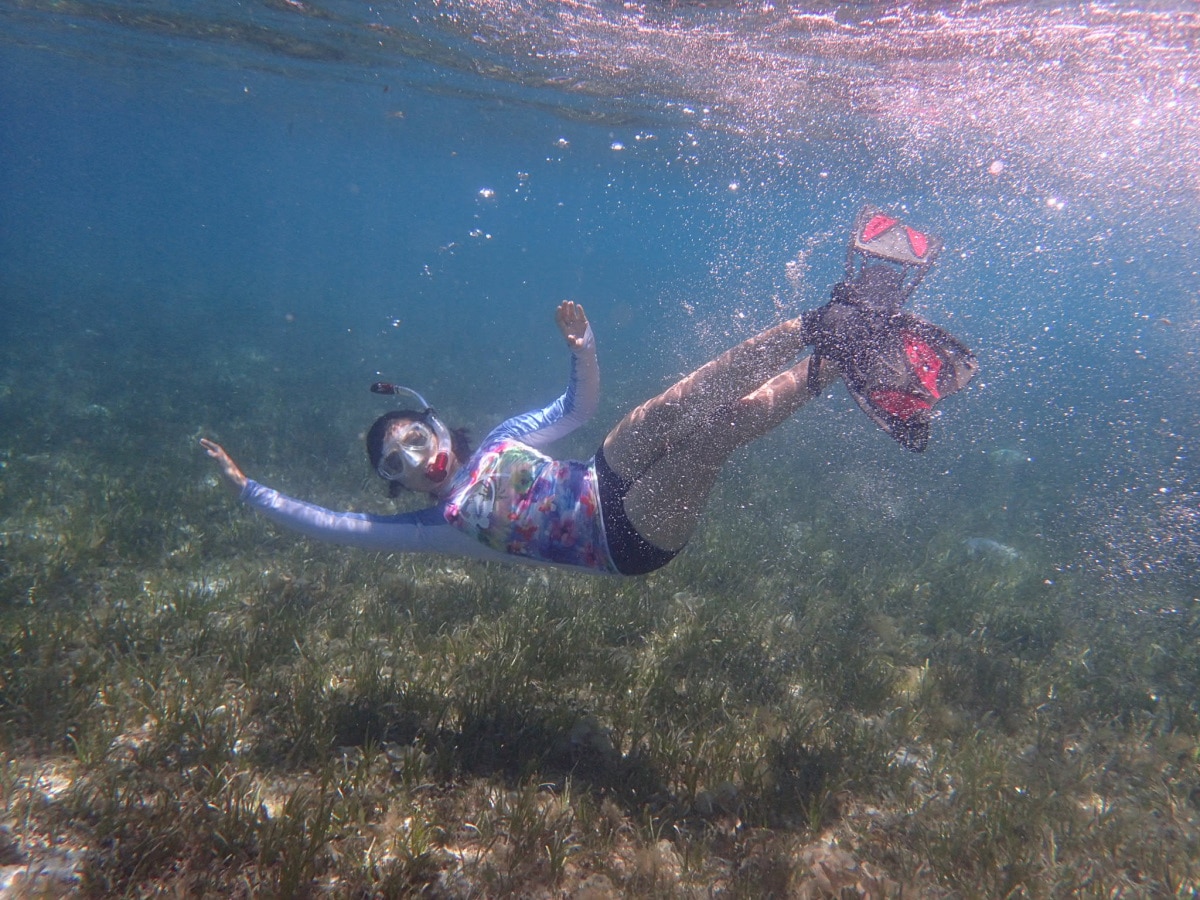 Scalloping In Crystal River Florida