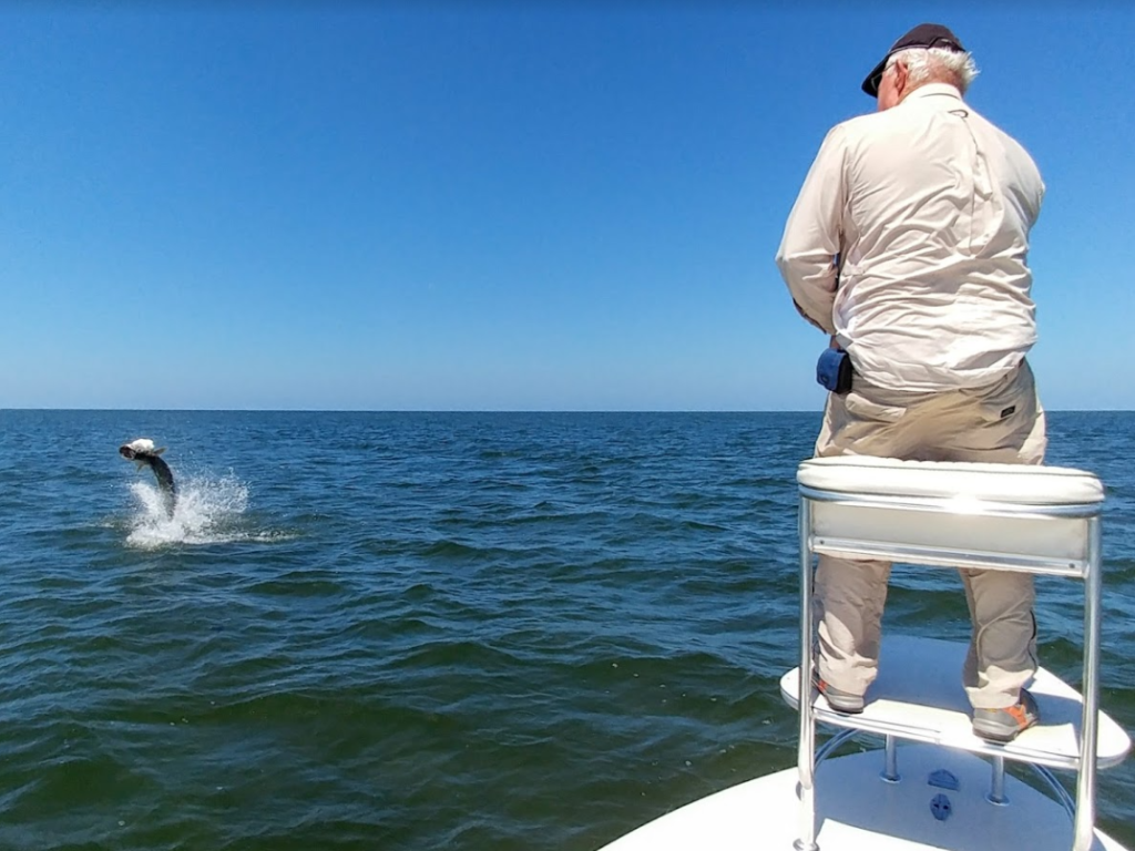 a picture of a fisherman fighting a tarpon in Crystal river