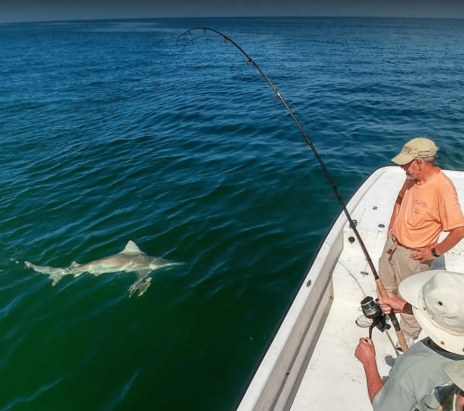 a picture of a fisherman fighting a shark on a crystal river shark fishing charter