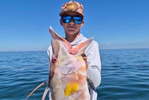 A picture of Crystal River Florida Fishing Adventures November Fishing in Crystal River, Florida