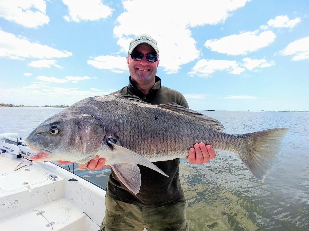 a picture of a fisherman holding a large blackdrum they caught on a inshore fishing charter in crystal river.