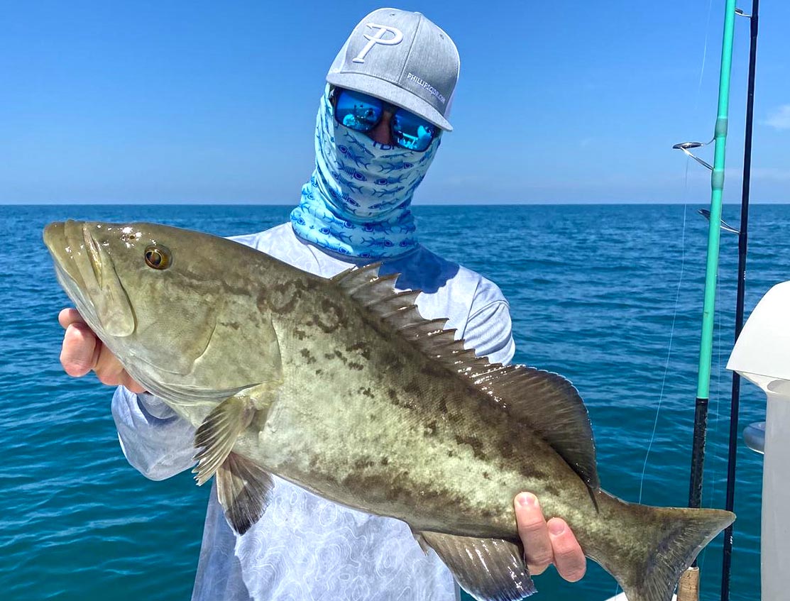 a picture of a grouper caught in Crystal river