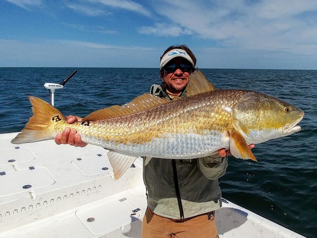 a fisherman holding a large Florida redfish that was just caught off of a dropoff.