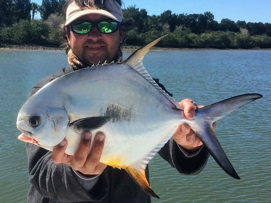 a picture of a permit fish caught on a crystal river inshore fishing charter