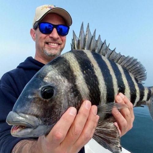 Crystal River Offshore Fishing Charters a fisherman holding a sheepshead he caught in Crystal River, Florida
