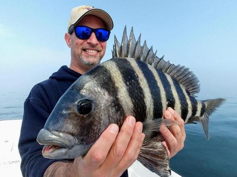 a fisherman holding a sheepshead he caught in Crystal River, Florida