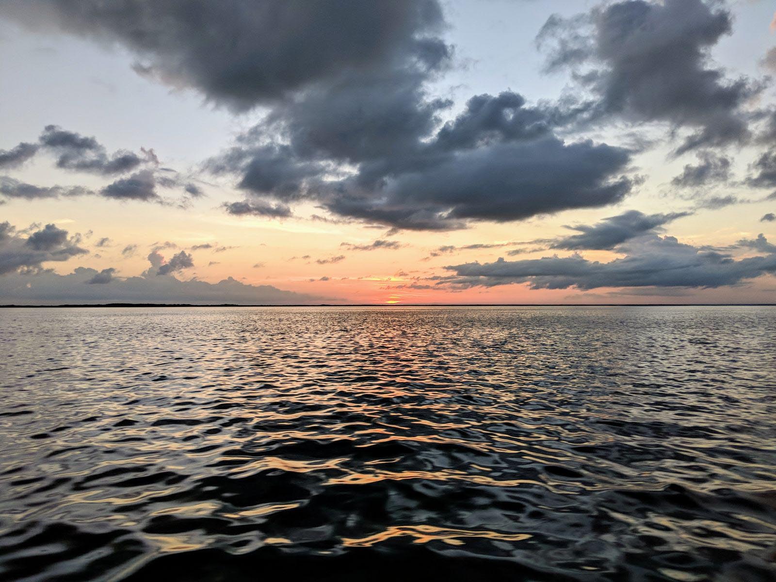 a picture of the inshore where crystal river fishing charters happen