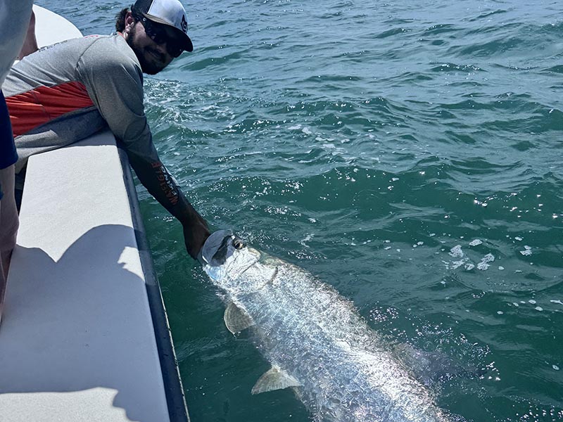 Crystal River Tarpon Fishing Charters A picture of Crystal River Florida Fishing Adventures Crystal River Tarpon Fishing Charters