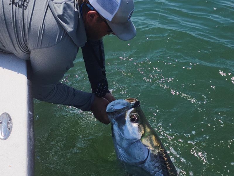 A picture of Crystal River Florida Fishing Adventures The Most Exclusive Fish in Crystal River Right Now